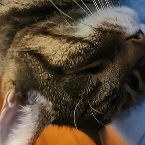 Meet your Posher, Vicki